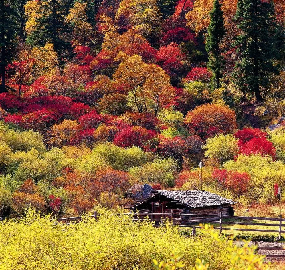 这个地方叫九寨沟，请永远记得它那宛如天堂般的绝世美景