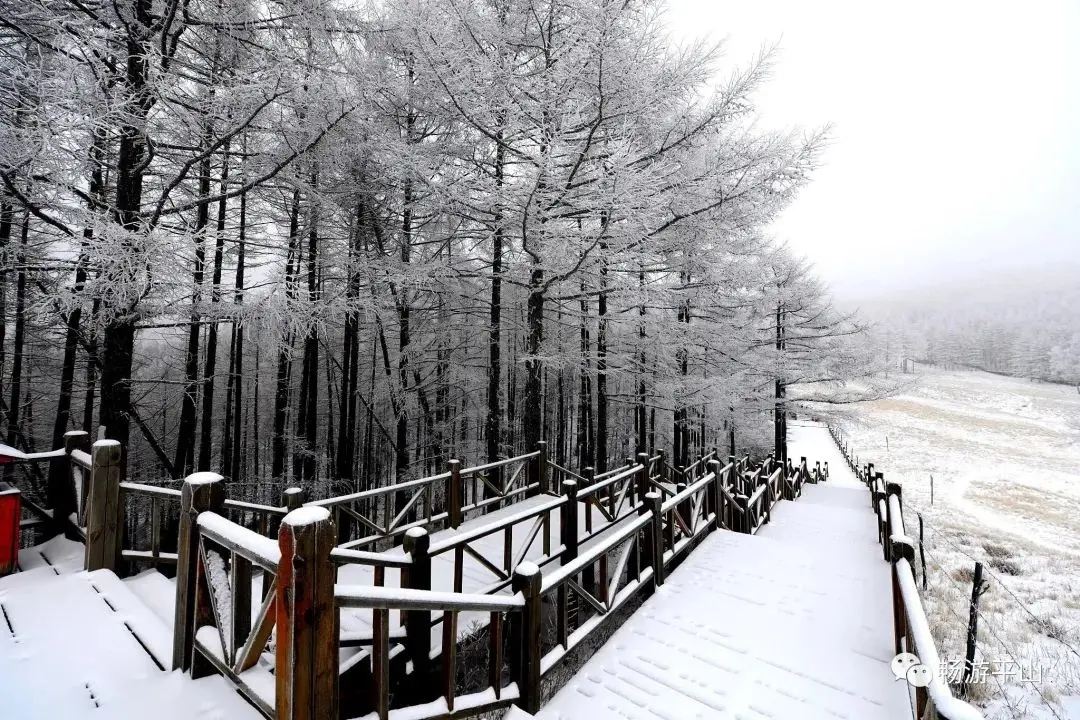 雪花、雾凇、冰瀑、云海、夕阳，让驼梁美成了一幅童话世界