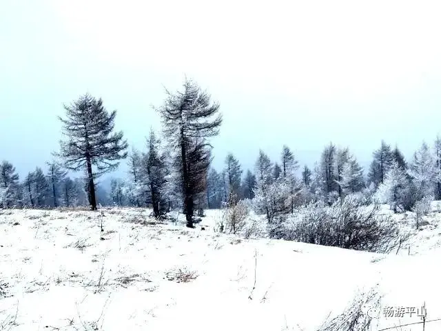 雪花、雾凇、冰瀑、云海、夕阳，让驼梁美成了一幅童话世界