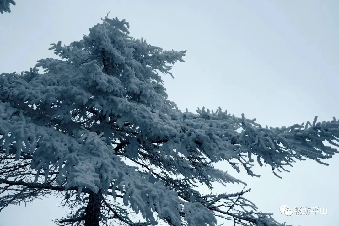 雪花、雾凇、冰瀑、云海、夕阳，让驼梁美成了一幅童话世界