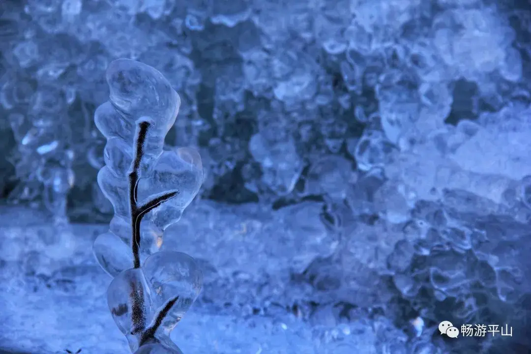 雪花、雾凇、冰瀑、云海、夕阳，让驼梁美成了一幅童话世界
