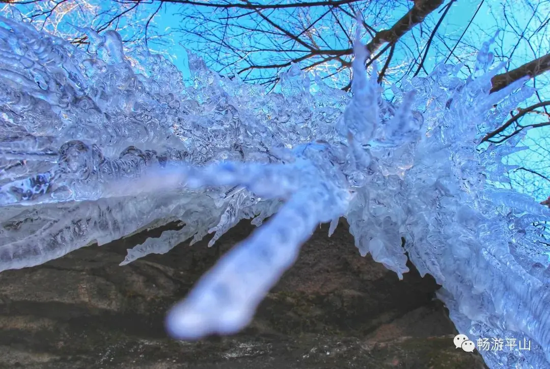雪花、雾凇、冰瀑、云海、夕阳，让驼梁美成了一幅童话世界