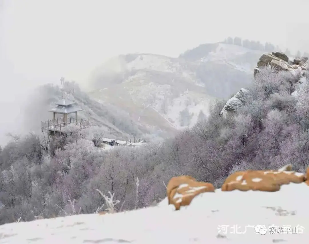 雪花、雾凇、冰瀑、云海、夕阳，让驼梁美成了一幅童话世界