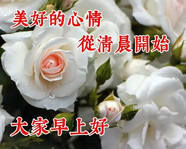 生活坚强正能量的早安句子，吉祥如意的早上好免打字图片带字