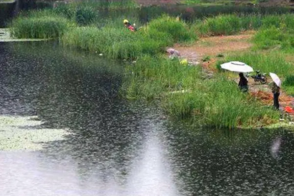 夏季雨天钓鱼，钓底还是钓浮？牢记这个法则，鱼儿连竿上！