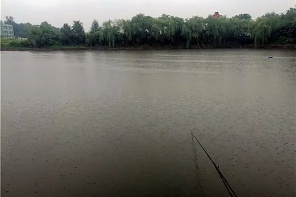 夏季雨天钓鱼，钓底还是钓浮？牢记这个法则，鱼儿连竿上！