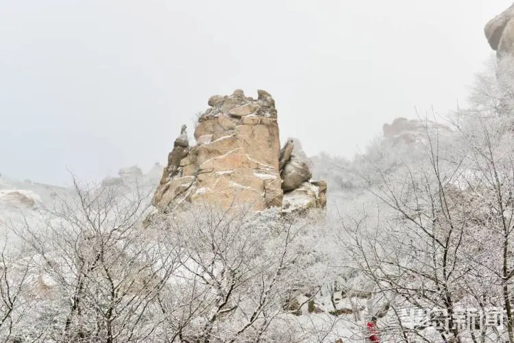 零下18℃，仙境崂山景色壮美！