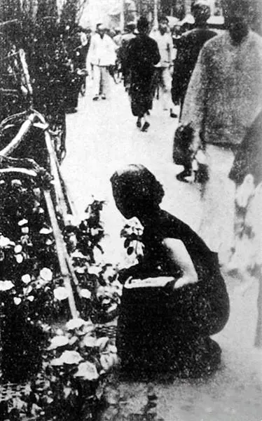 司馬缸說｜年味與花香百年情緣：老廣為何對“行花街”如此執迷？