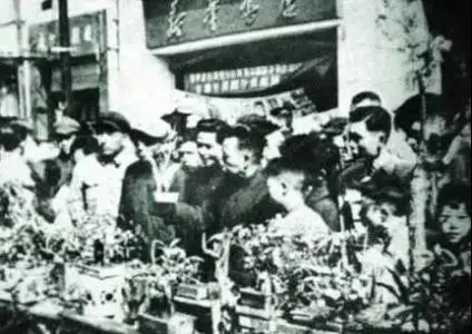 司馬缸說｜年味與花香百年情緣：老廣為何對“行花街”如此執迷？