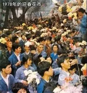 司馬缸說｜年味與花香百年情緣：老廣為何對“行花街”如此執迷？