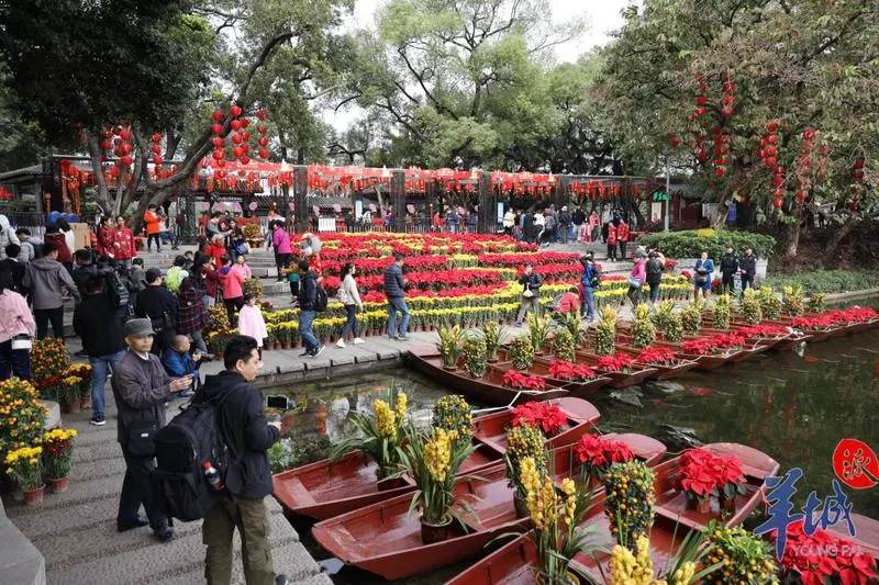 司馬缸說｜年味與花香百年情緣：老廣為何對“行花街”如此執迷？