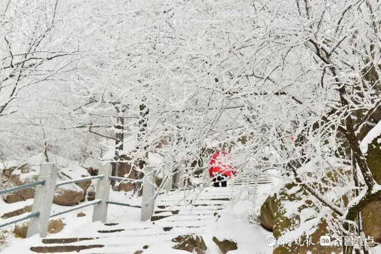 -18℃，雪后崂山尽显北国风光