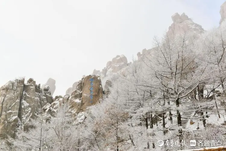 -18℃，雪后崂山尽显北国风光