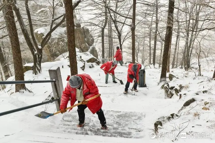 -18℃，雪后崂山尽显北国风光