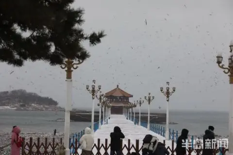 白雪与回澜阁相映成趣 栈桥雪后风景美