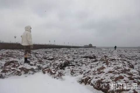 白雪与回澜阁相映成趣 栈桥雪后风景美