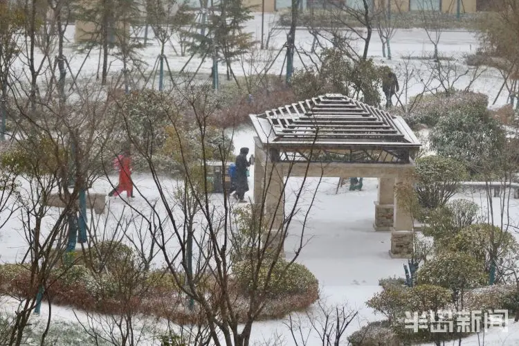 雪后岛城 身边皆景