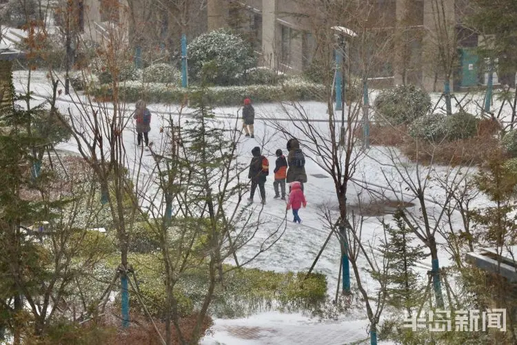 雪后岛城 身边皆景