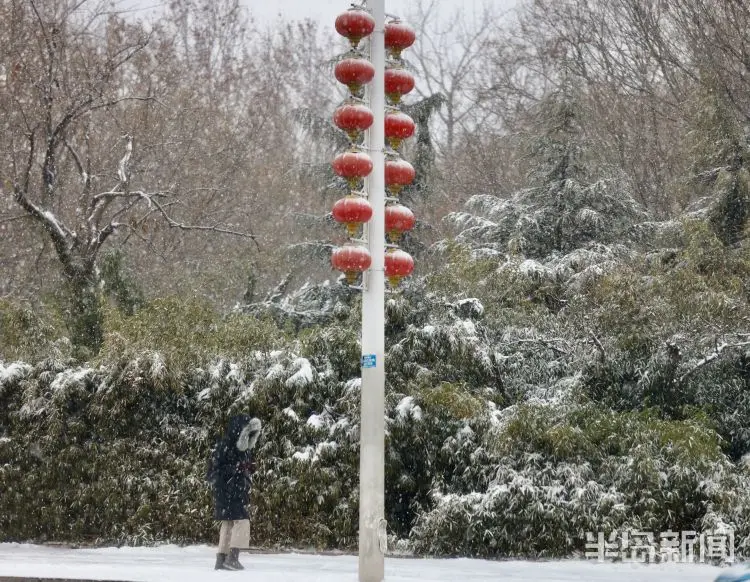 雪后岛城 身边皆景