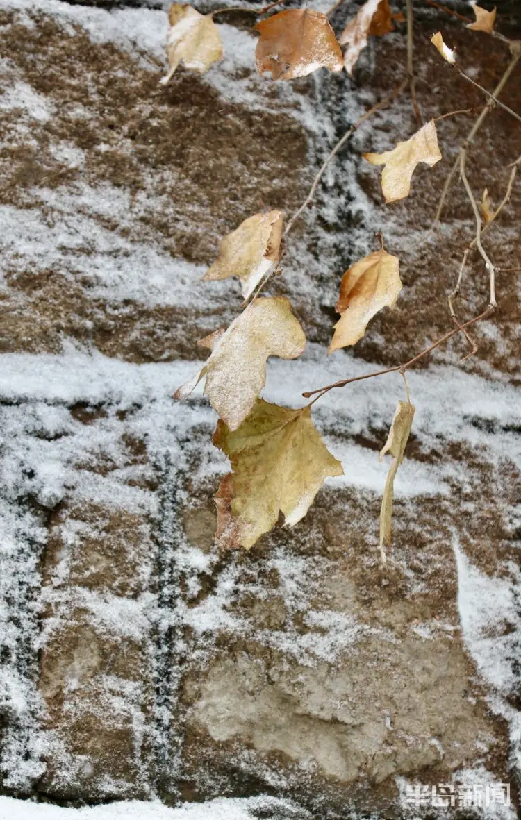 雪后岛城 身边皆景