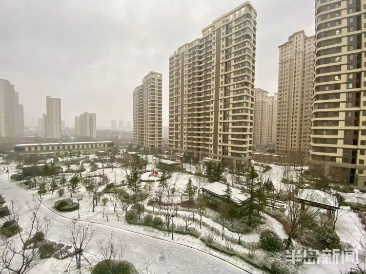 雪后岛城 身边皆景