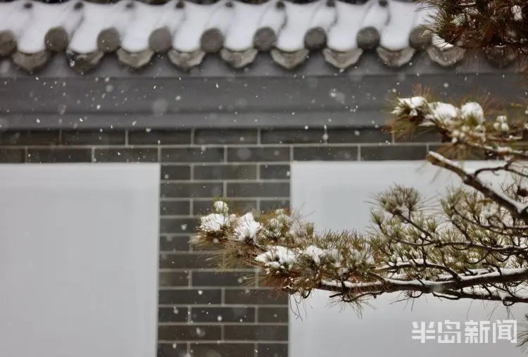 雪后岛城 身边皆景