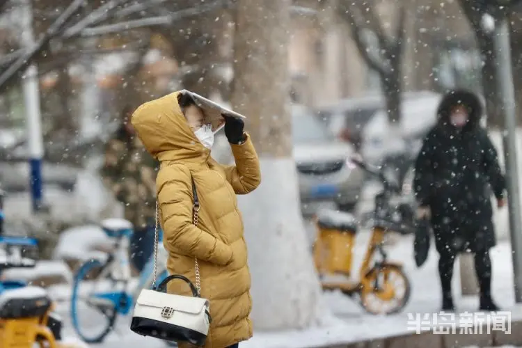 雪后岛城 身边皆景