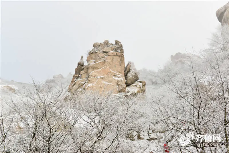 美！严寒下的崂山跨年雪景等你打卡