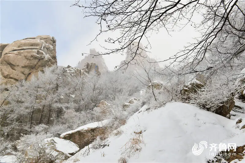 美！严寒下的崂山跨年雪景等你打卡