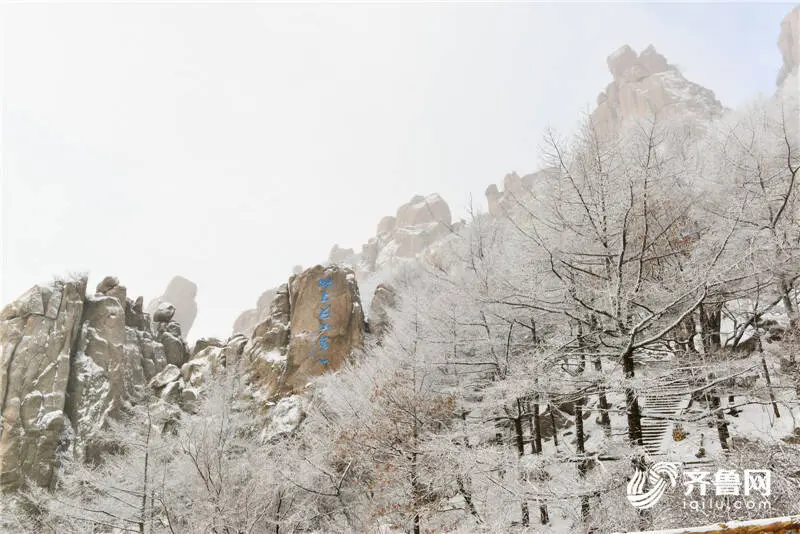 美！严寒下的崂山跨年雪景等你打卡