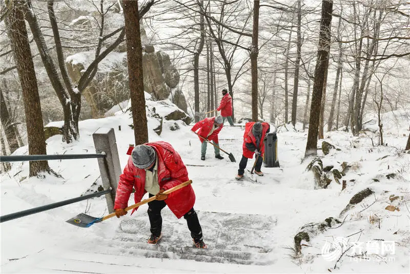 美！严寒下的崂山跨年雪景等你打卡