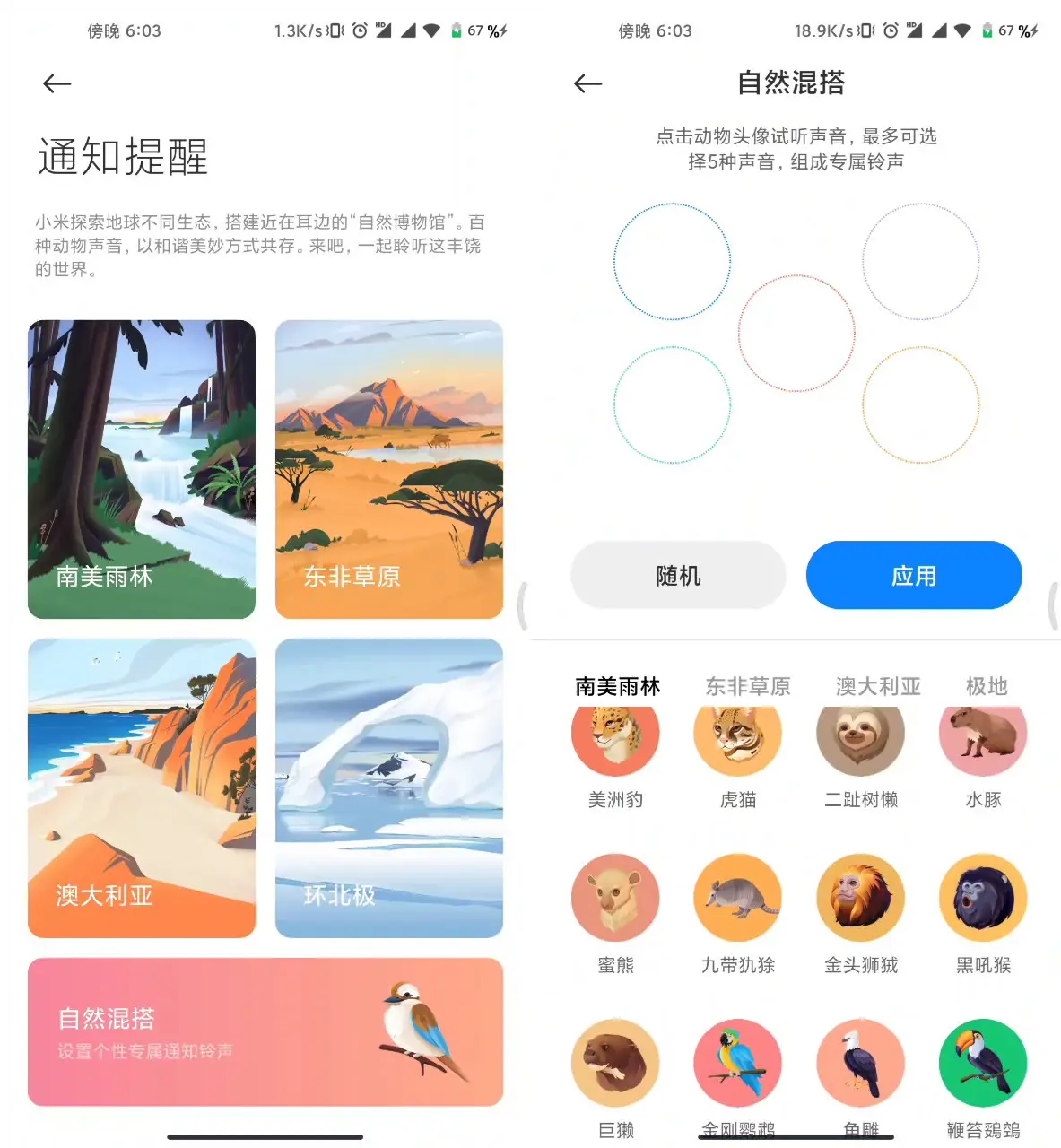 更新MIUI 12.5后，手机丝滑到飞起