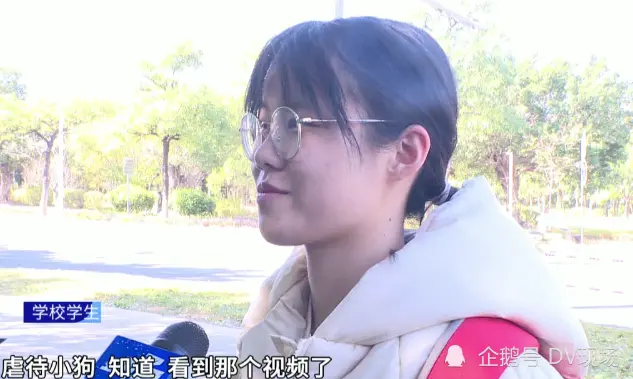 高校学生在宿舍虐狗，当事人澄清只是教育方式不妥