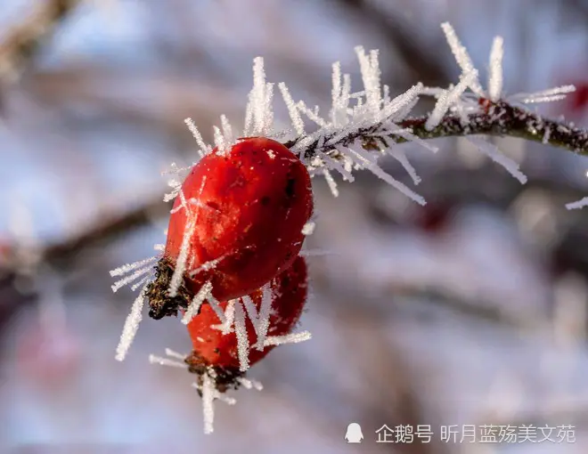 十二月再见，一月你好，过往不纠缠，余生不将就