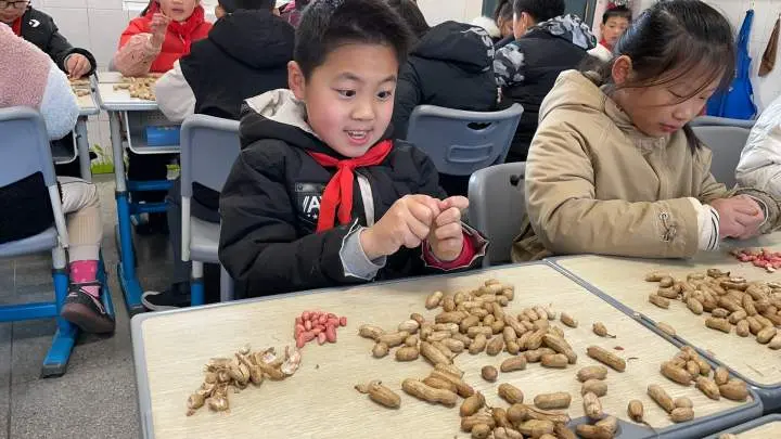 理豆芽、择芹菜……这场劳动技能大比拼有爱有温度！