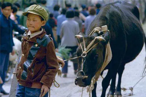 中国神童高华健：中美德三国开出高薪抢他，他深思熟虑后加入美籍