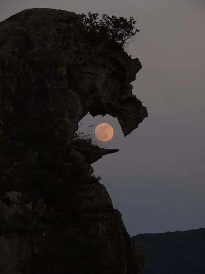 32幅普通人偶然拍到的场景，比摄影大片还精彩，看完非常满足