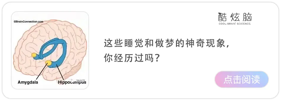 做白日梦能帮人们驱散孤独？