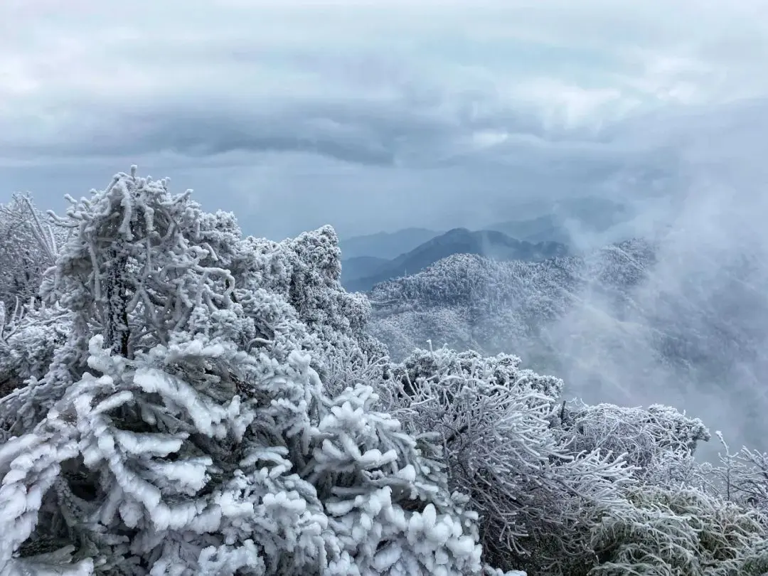湖南南岳衡山雾凇，从广州出发仅两小时高铁，像天宫一样绝美