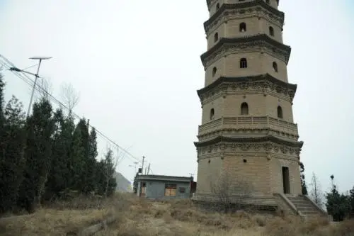 崆峒山有一个古塔托松奇景，可是专家说，这棵古松对凌空塔有害