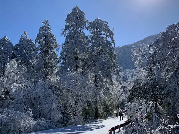 冬游峨眉，一起“白头”