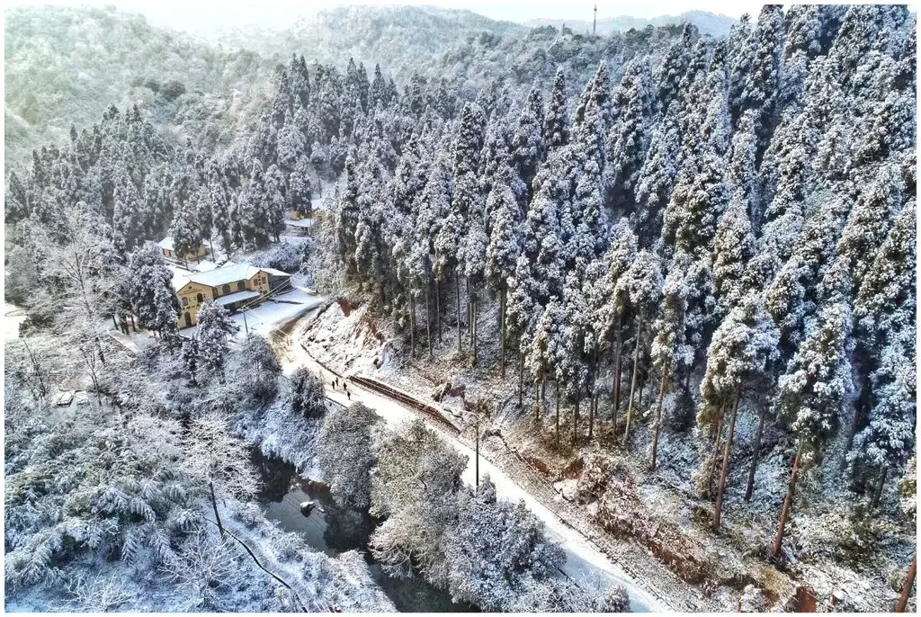 气温骤降，雪花飘落，天台山都被染白了！