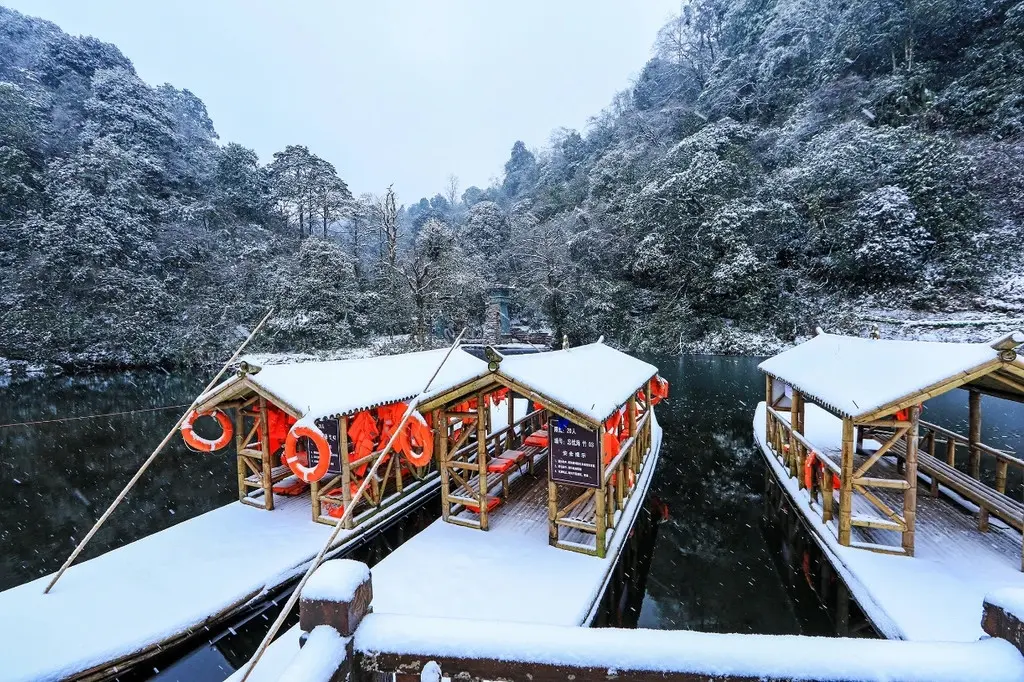 气温骤降，雪花飘落，天台山都被染白了！