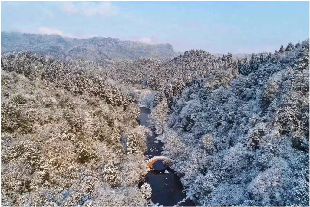 气温骤降，雪花飘落，天台山都被染白了！