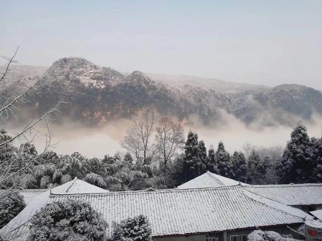 气温骤降，雪花飘落，天台山都被染白了！