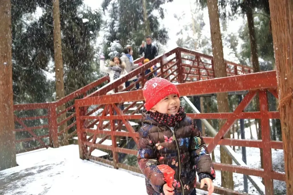 气温骤降，雪花飘落，天台山都被染白了！