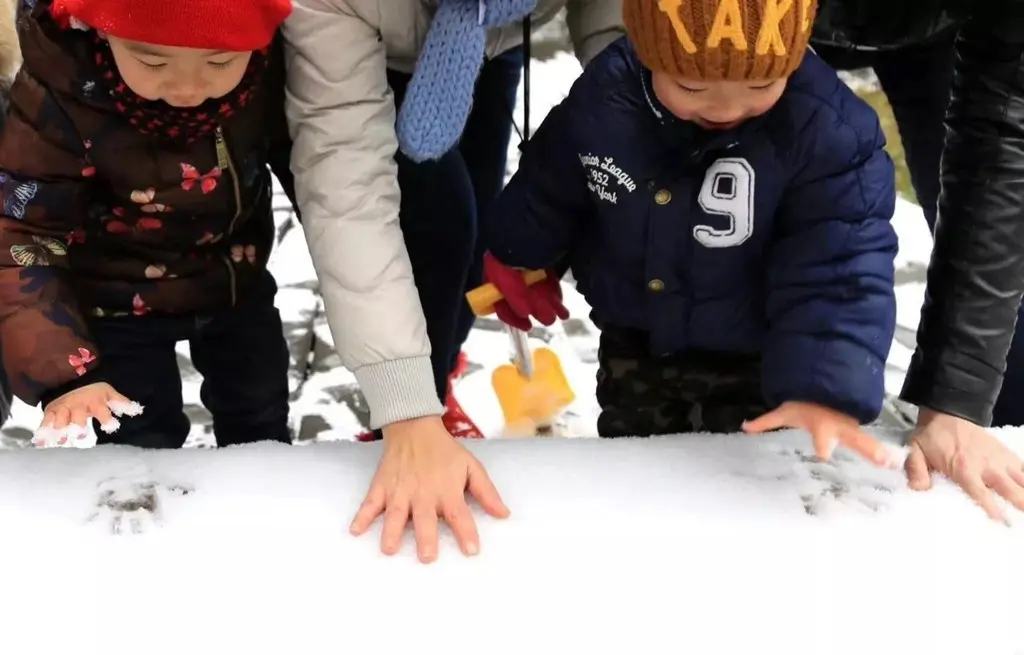 气温骤降，雪花飘落，天台山都被染白了！