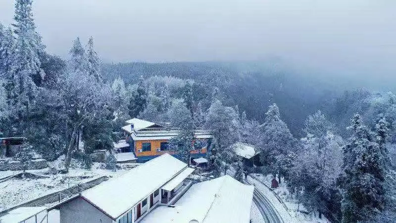 气温骤降，雪花飘落，天台山都被染白了！