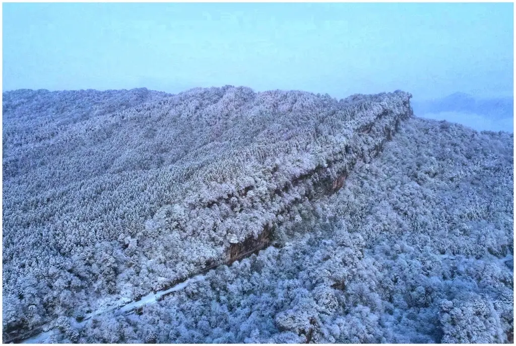 气温骤降，雪花飘落，天台山都被染白了！