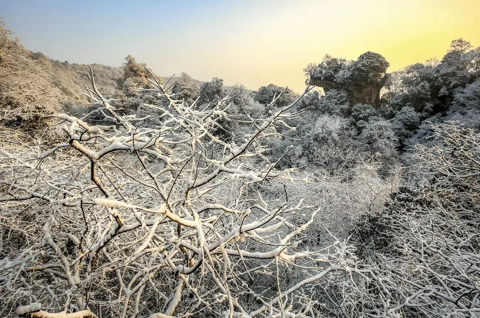 气温骤降，雪花飘落，天台山都被染白了！